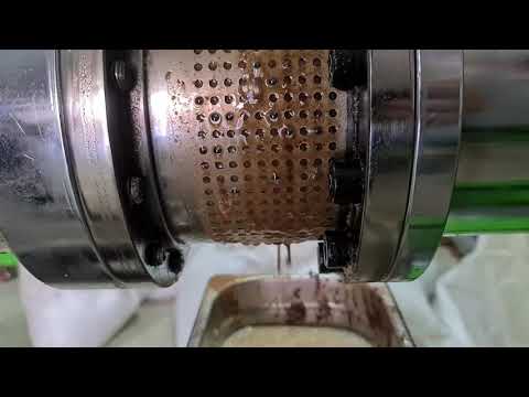 NF2000, Hazelnut oil in cold press oil machine, Масло фундука в маслобойке холодного отжима