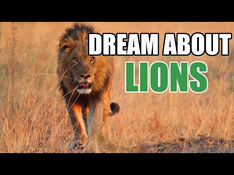 What Does It Mean When You Dream About A Lion? - Sign Meaning