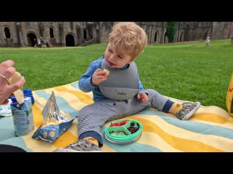 A Trip to Yorkshire - Bowland Wild Boar Park & Fountains Abbey