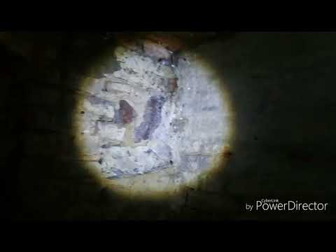 Maxim Gdynia Orłowo