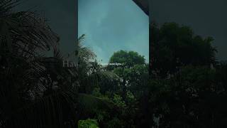 Download lagu Hawao Me Lipta Hua Main🥀🍃| sad status #shorts #sadstatus #monsoon mp3 Download lagu Hawao Me Lipta Hua Main🥀🍃| sad status #shorts #sadstatus #monsoon mp3