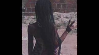 Armandinho(morena nativa)