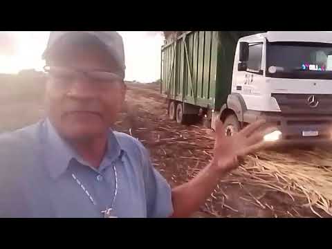 CANAL CICERO PRANCHETA DIRETO DO SÍTIO DÓ MEIO MESSIAS AL 02 10 26 