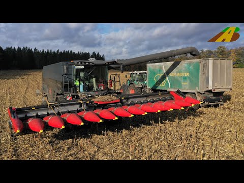 Mähdrescher MF IDEAL 9T - Großeinsatz Mais dreschen - Maisernte Landwirtschaft Big Combine Harvester