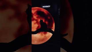 Download lagu SEMBILU... #lirik #liriklagu #sembilu #story mp3