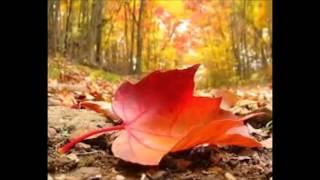 Download lagu Adira - Lara Lagi mp3