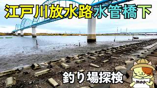 ハゼ