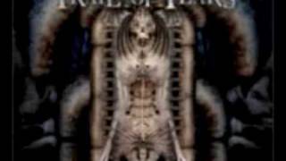 Trail of tears - Drink away the demons