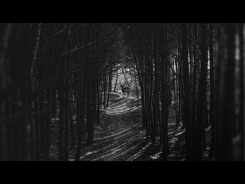 [FREE] Sad Bones Type Beat - "Harmonic"