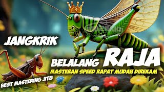 Download lagu MASTERAN JANGKRIK VS BELALANG EMAS || Masteran belalang raja vs jangkrik jernih panjang mp3 Download lagu MASTERAN JANGKRIK VS BELALANG EMAS || Masteran belalang raja vs jangkrik jernih panjang mp3