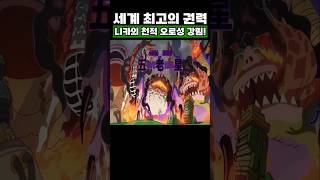 원피스) 니카의 천적 오로성 강림!
