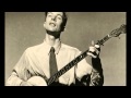 Pete Seeger - Crow on the cradle