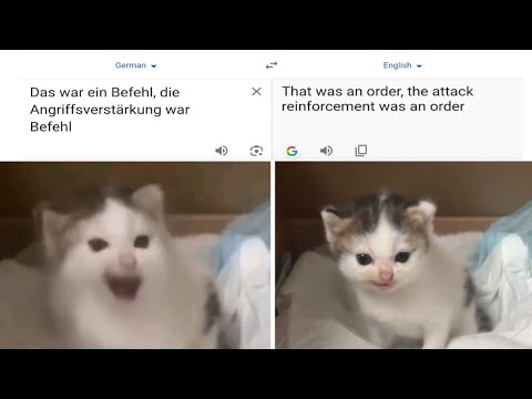 German Cat Meme With English Translate...