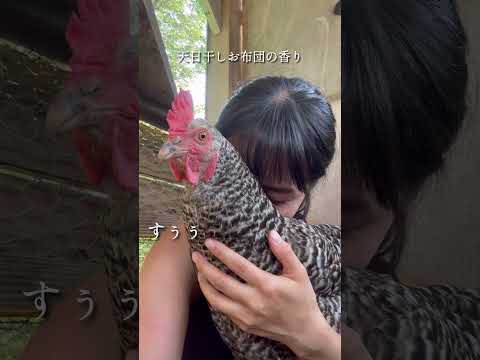 幸せな羽の生えた鳥を育てるために、鶏小屋に泥が入らないようにするにはどうすればよいでしょうか?試してみたい6つの素晴らしいアイデア  庭園