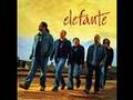 Elefante-Encrucijada