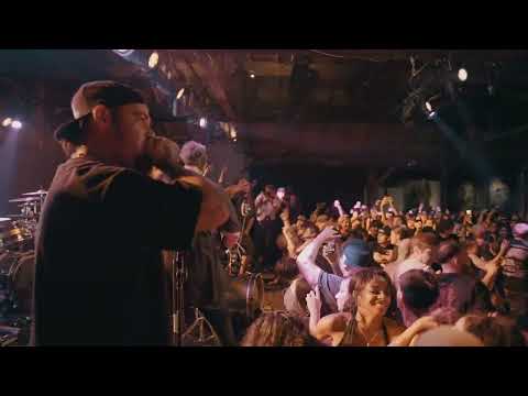 (197 Media) Snuffed on Sight - 09/07/2024