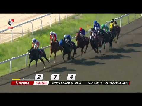 KV-8 A.YÜCEL BİROL KOŞUSU  CAPTAIN FANTASTIC TEN  FANTASTİK BİRİNCİLİK MAKE A FIRE  ÇABALARI YETMEDİ