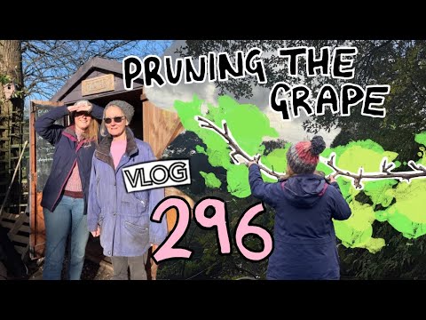Pruning the GRAPE + Everyones got the Lurgy. Ep. 296 || Plot 37