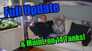 FULL Aquarium Update & Maintenance Session | Feb 2024