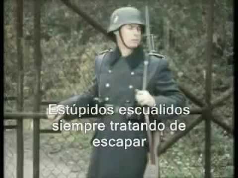 los  alemanes son tontos