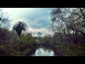 Rabid bits of Time // Chad Vangaalen