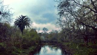 Rabid bits of Time // Chad Vangaalen