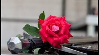 Růže a meč intermezzo, upoutávka 2013 (The Rose and sword intermezzo, first trailer)