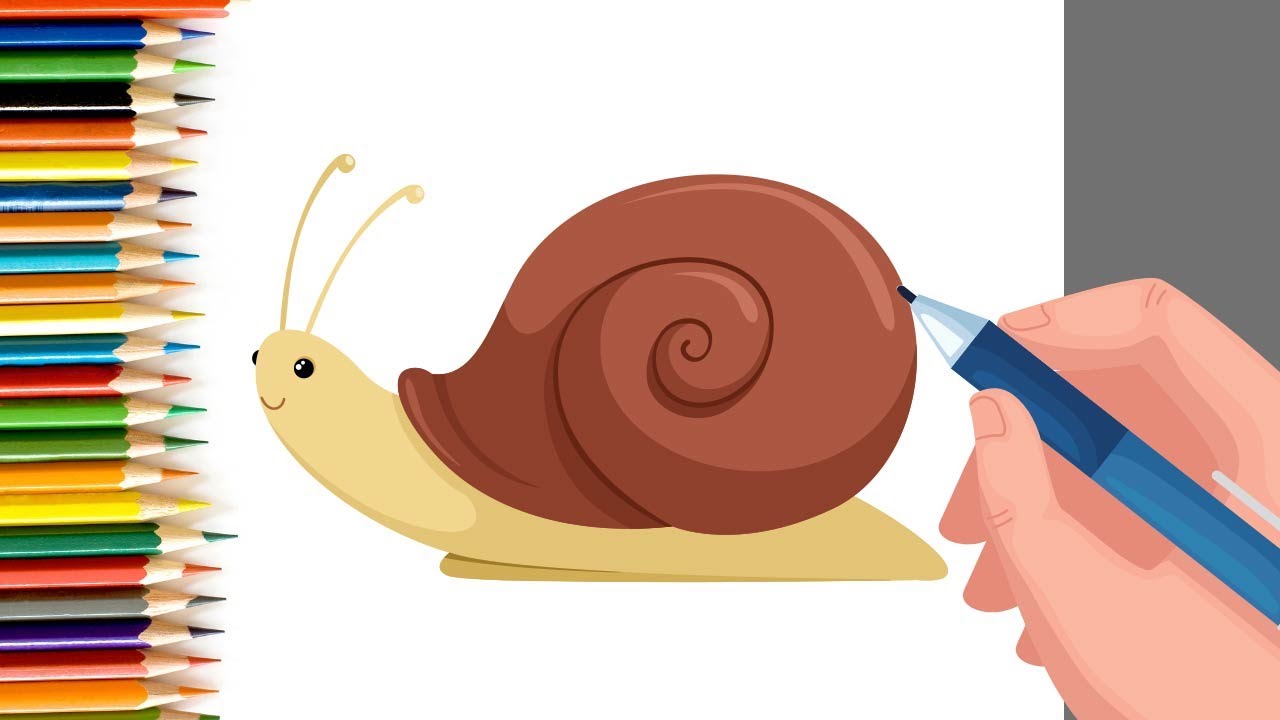 How to Draw easy Snail with Number 6 step by step for Kids| Simple Drawing Tutorials!