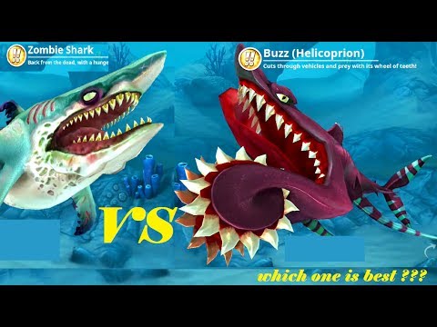 Buzz (Helicoprion) vs Zombie Shark [ Which is the best ??? ] - Hungry Shark World