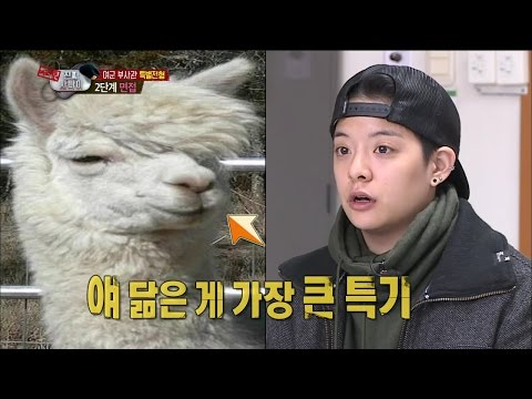 【TVPP】Amber(f(x)) - Military Interview, 엠버(에프엑스) - 한국말이 서툰 엠버의 험난한(?) 여군 면접 @ A Real Man