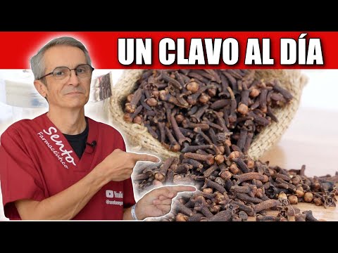 Qué PASA si MASTICAS un CLAVO de especia al DÍA