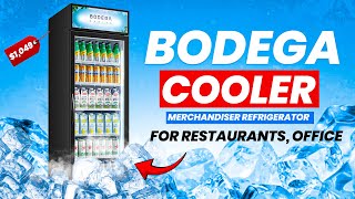 GET the TOP BEST BODEGA COOLER REFRIGERATORS FOR 2025 | THE DYNAMIC FAMILY