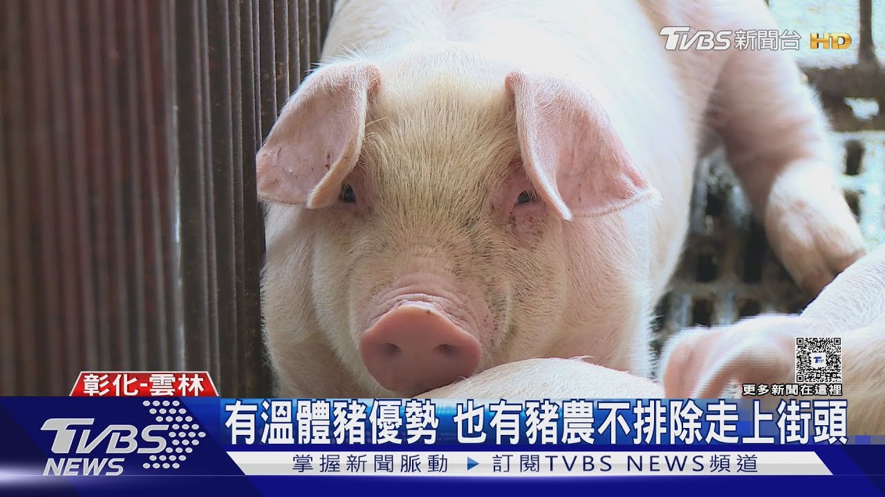 「重磅打擊」 豬農、雞農擔心關稅保護消失