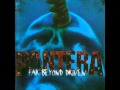 Pantera - Good Friends And A Bottle Of Pills (Lyrics in description)