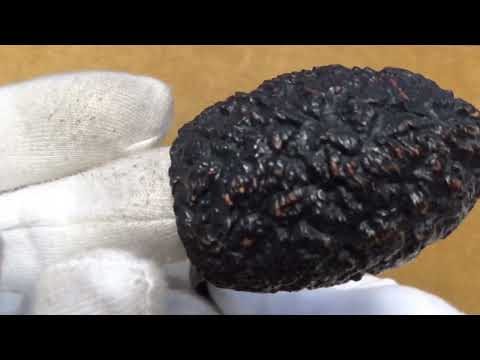 Pipa Castello Sea Rock KKKK - Full Bent Egg #93 - CASR167