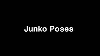 Cover art for Junko Posing