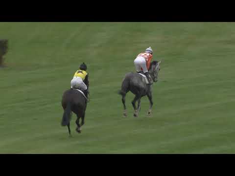 8. dostih - Cena babího léta - dostihy Most 10. 10. 2020