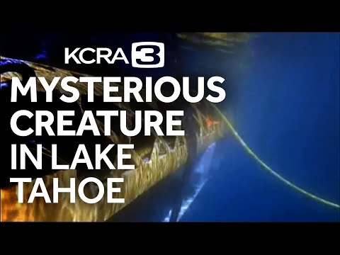 tahoe lake