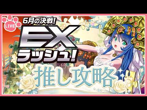 「花嫁サフィーラで攻略！6月のEXラッシュ完全ガイド」