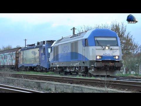 LEMA 480 030-8 & Hercules 2016 920-8 in Gara Șuncuiuș & Aleșd Train Station - 20 April 2022