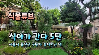 [식아가 간다~5탄] 랜선으로 나마 구독자 김샤론님 정원 구경 같이 가보시겠어요~~ (TV 또는 컴퓨터 시청…