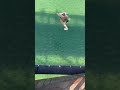 Lil Jump Ft Lucas Bike Bridge Air Misty Summer Mtb Newmusic Hiphop Rapper Music Bike