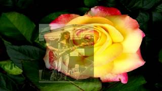 Rosie Flores - Love Must Have Passed Me By