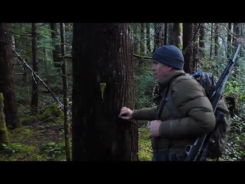 This 9ft Sasquatch was imitating a cow elk call + A First Nations lady shares a terrifying story !!