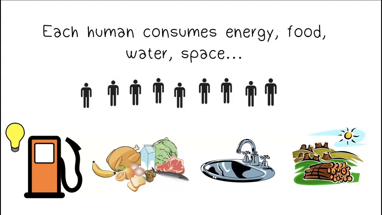 Human Population and Resource Consumption