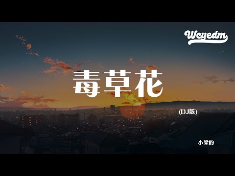 小梁的 - 毒草花DJ版