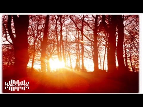 Sebastian Mullaert - Dance thru Shadowed Structures Mix