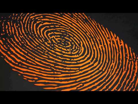 Ron & Fez - The Zito-Fez Name Game