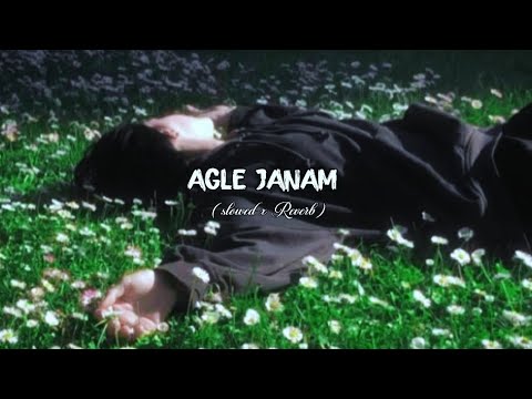 Agle Janam Milna Hoga - Rishi Roy - ( Slowed + Reverb ) - Sad Songs