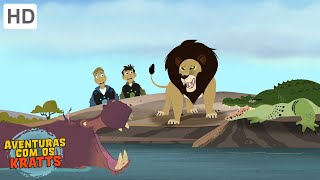 Aventuras com os Kratts - O Leão Despenteado (Episódio Completo - HD)